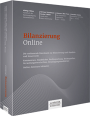 Bilanzierung Online