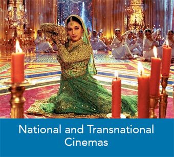 Screen Studies: National and Transnational Cinemas