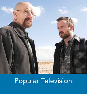 Screen Studies: Popular Television