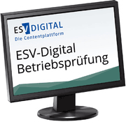 ESV-Digital Betriebsprüfung
